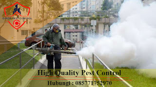 Hub : 085771752970 Jasa Fogging Nyamuk di Babelan 