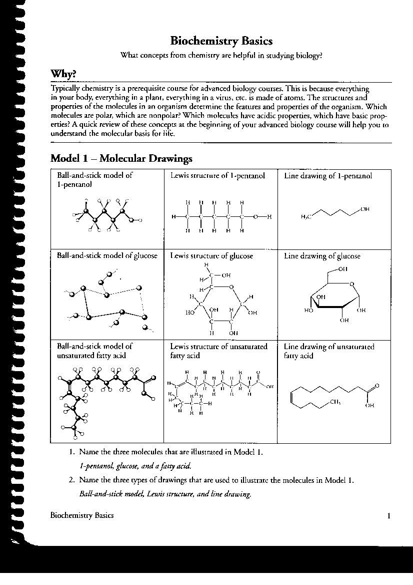 Biochemistry basics pogil answer key