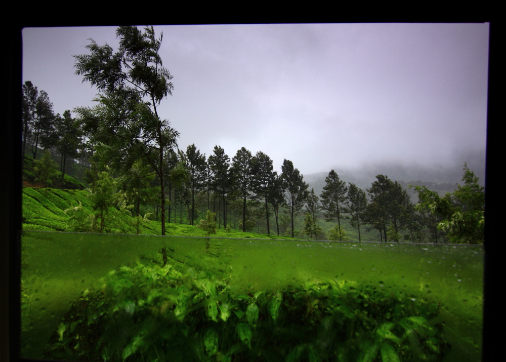 Munnar Tea Gardens