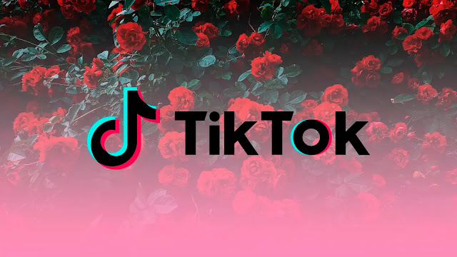 Want to Buy Roses on TikTok? Here's How Much They Cost!