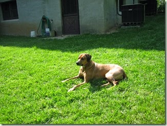 Zoe May 2006 (1)