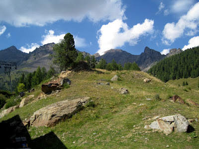 mountain meadow