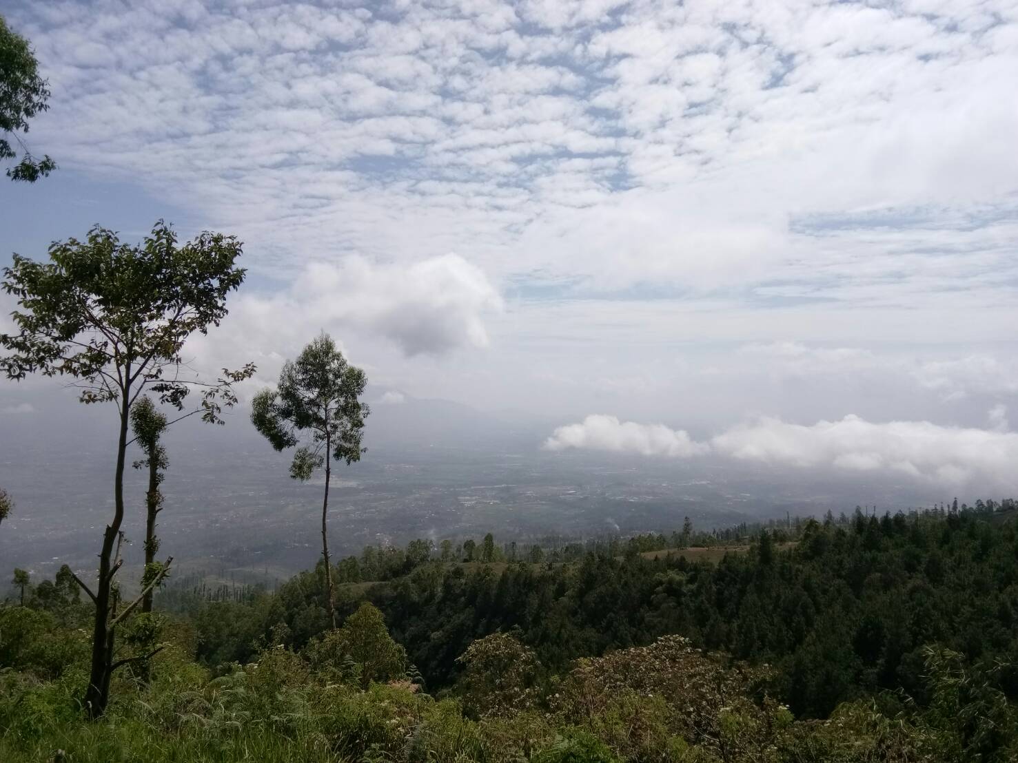 Pengalaman ane mendaki gunung  KASKUS