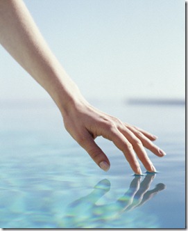 transparencia2