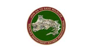 Wildlife and Fisheries Department AJK Jobs 2024