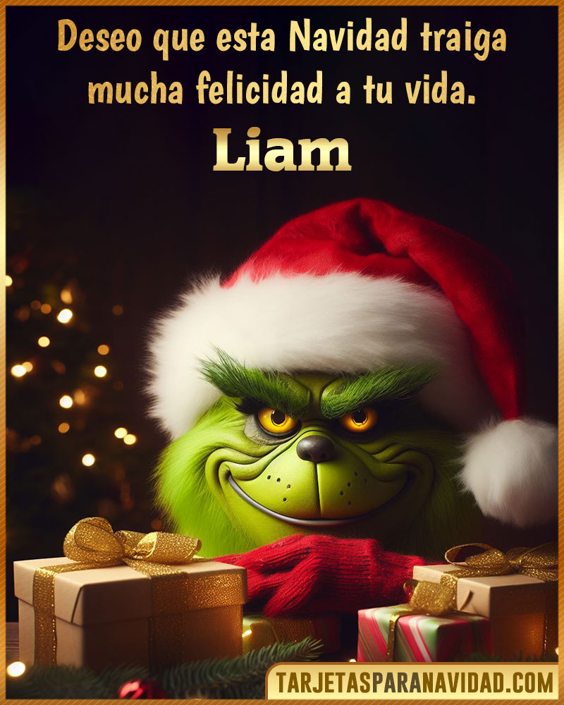 Tarjetas Felicitacion Navidad para Liam