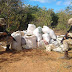 Cipe Caatinga apreende 171 kg de maconha na zona rural de Curaçá