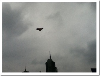 IMG_0131 IMG_0131