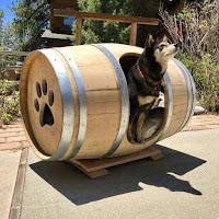 Construye una caseta para perros única a partir de un barril de madera