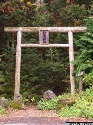 Aokigahara (青木 ヶ 原) Forest