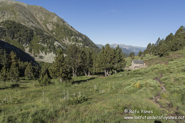 Ruta: El Canigó (2.784 m) (Els 100 Cims)