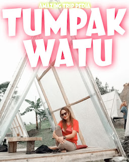 Foto Instagram Tumpak Watu Coffee Malang Jawa Timur