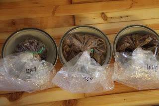 Venison, seasonings, brines for corning, in bag, ready for fridge!