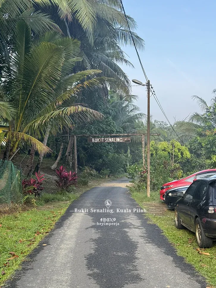 Hiking Bukit Senaling Kuala Pilah