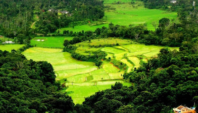 Best Honeymoon Destinations In India - Coorg