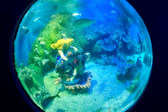 View out of the window in the deep sea adventure ride at legoland showing real and lego fish