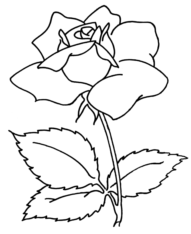 Dunia Sekolah Gambar  Hitam  Putih  Drawing Bunga Pokok 