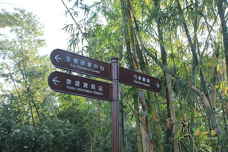 日月潭親子住宿｜竹石園生態渡假會館｜面湖景觀私房景點