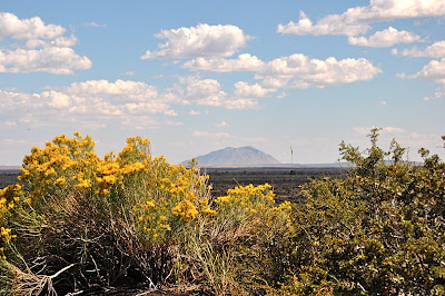 inactive volcano, lava fields and wild flowers