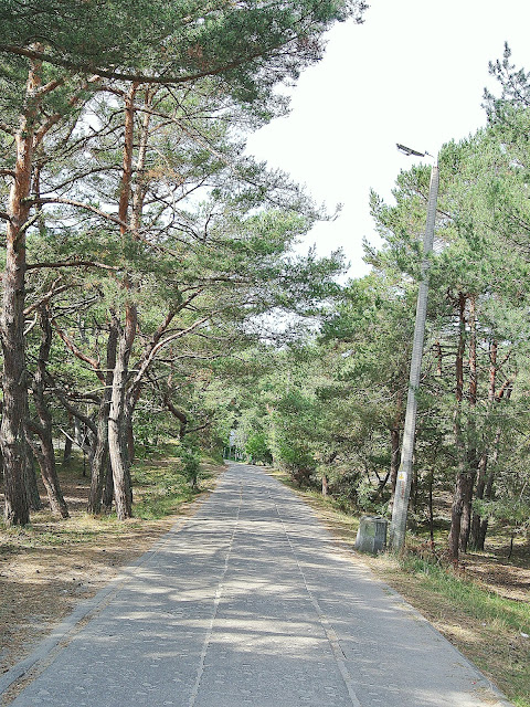 wejście na plażę na Helu, jak wygląda to z małym dzieckiem