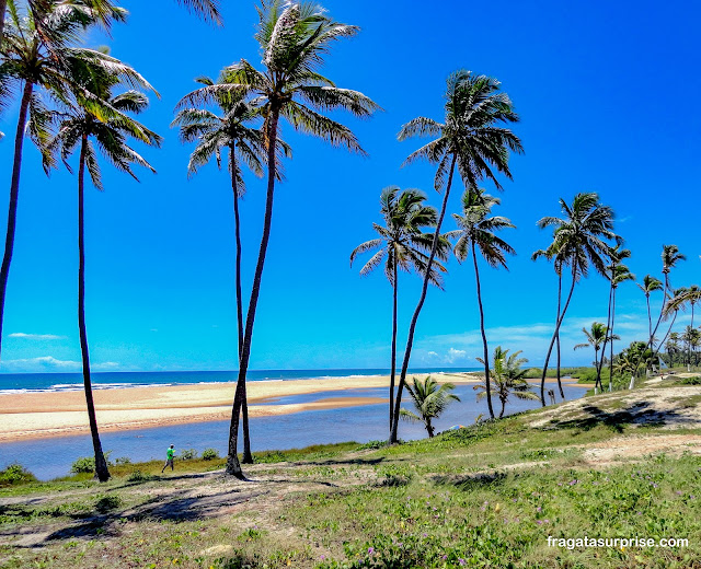 Praia do Imbassaí, Litoral Norte da Bahia