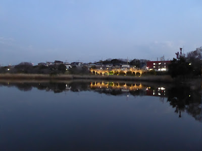 打上川治水緑地 桜のライトアップ（大阪府寝屋川市）