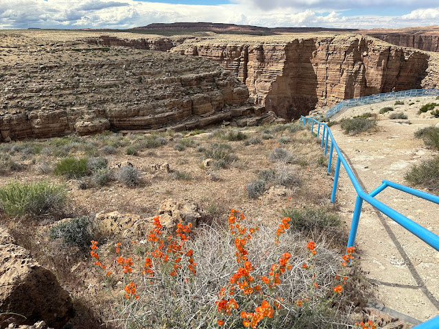 North Rim to South Rim