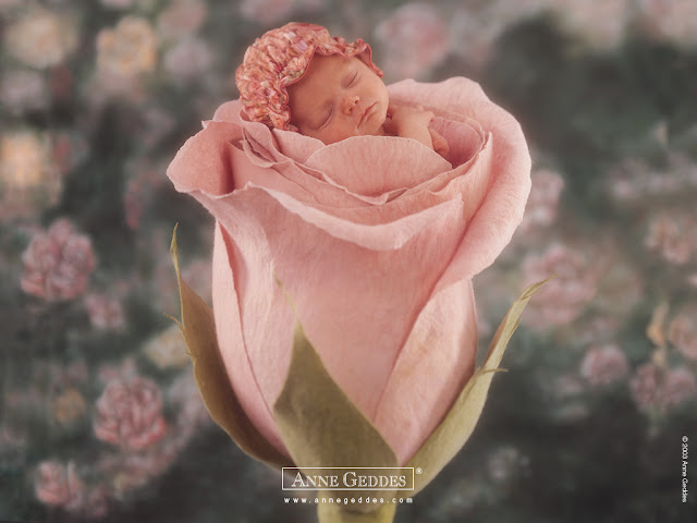 Baby Pictures Anne Geddes Photos