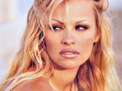 High Resolution Pamela Anderson Photos widescreen 43