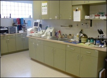 laboratorio