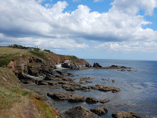 Lizard Point