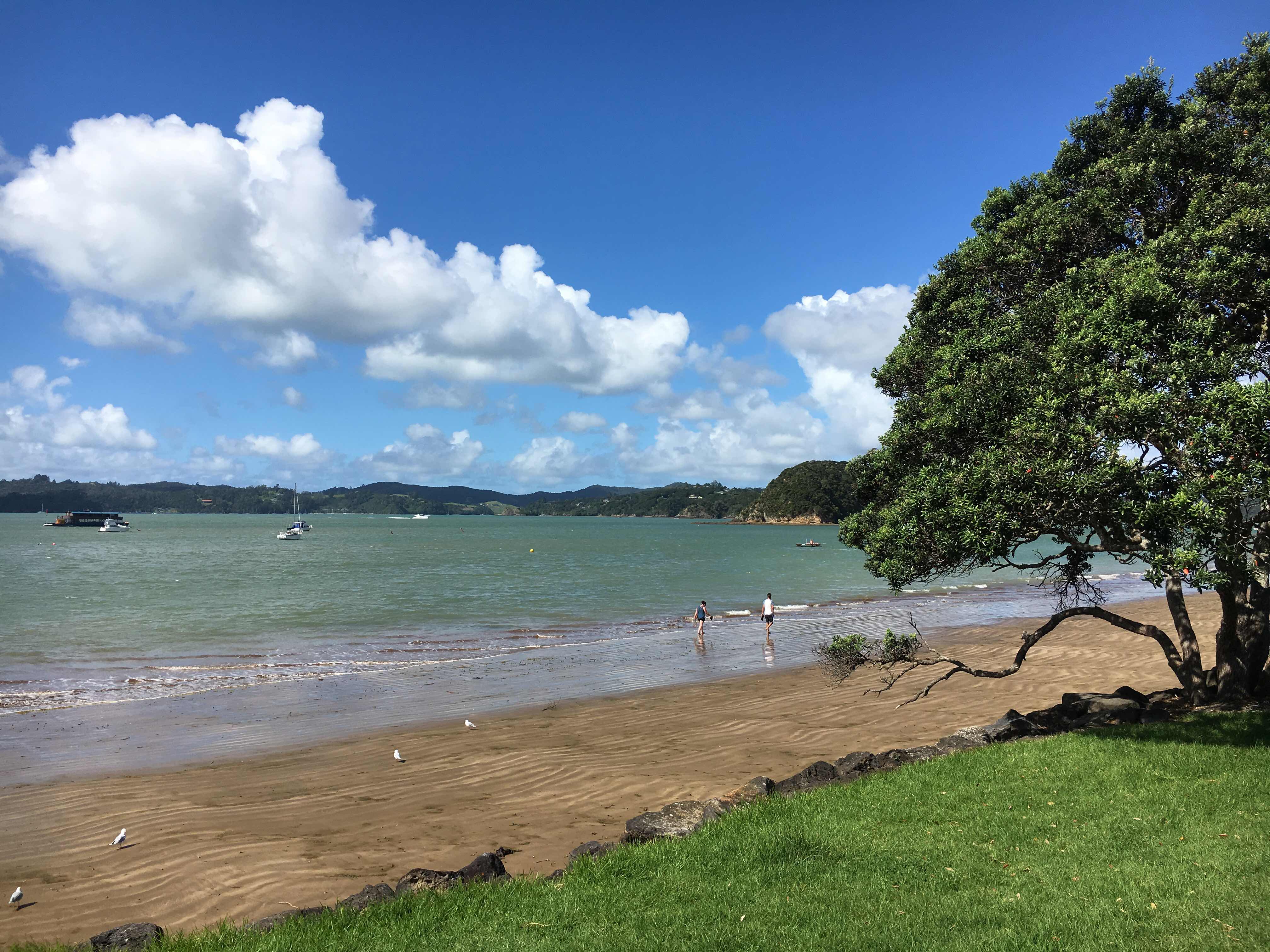 Paihia, New Zealand North Island