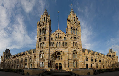 Natural History Museum Building Wallpaper