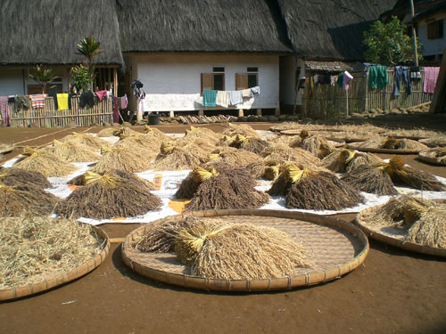 Kampung Naga On Tasikmalaya The Village