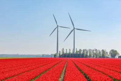 A photo of two windmills