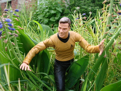 Kirk and Spock Action Figure Star Trek