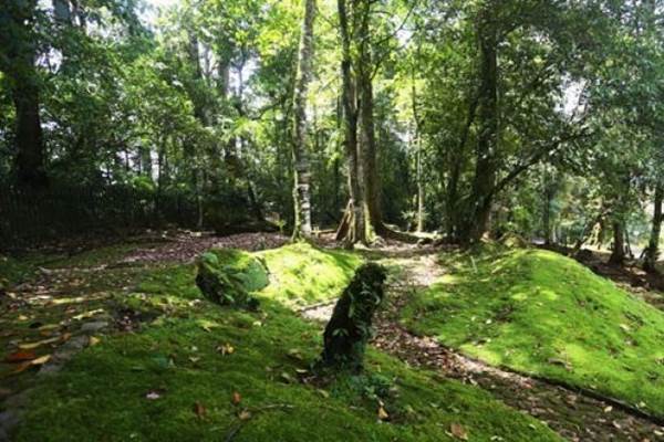 TAMAN ALAM TERBESAR DI INDONESIA AKAN DIBUKA PADA TAHUN 2020