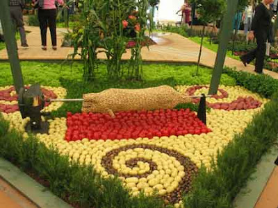 Fruits And Vegetables Art (9) 1