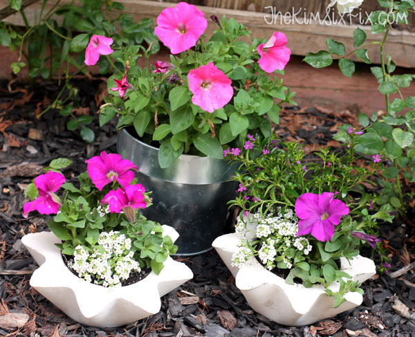 Concrete flower planters