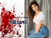 nidhi agarwal hot, nidhi agarwal, miunna micheal actress nidhi agarwal sitting in blue jeans white top current image