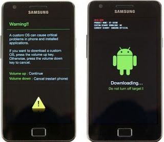 Cara Mudah Flash Samsung Galaxy Young (GT-6310) Official