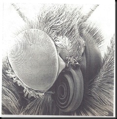 Scan_Pic0042