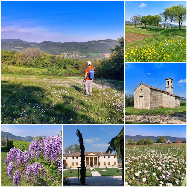 colli berici escursioni passeggiate