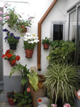 Ampliar imagen (se abrirá en una ventana nueva)