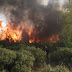 Πυρκαγιές: Ποιες χώρες έχουν στείλει βοήθεια στην Ελλάδα και από ποιες άλλες περιμένουμε