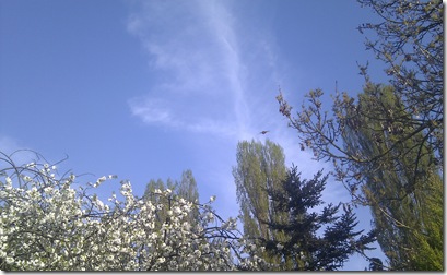 IMAG0884