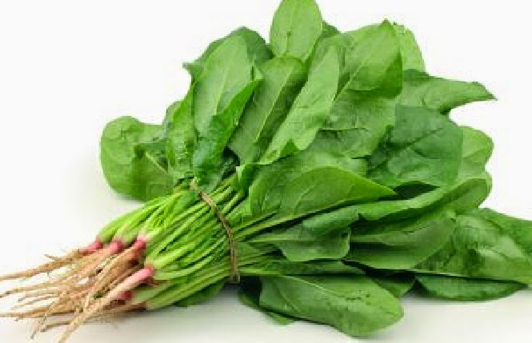Care For Your Health Manfaat Sayur Bayam