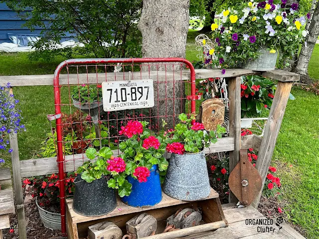 Photo of junk garden container plants on the deck.