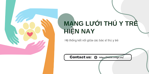 MẠNG LƯỚI THÚ Y TRẺ HIỆN NAY - ĐIỀU CẦN THIẾT CHO NGÀNH THÚ Y