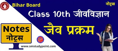 Bihar Board Class 10th Biology | Biological Process | Class 10 Biology Chapter 1 Rivision Notes PDF | जैव प्रक्रम | बिहार बोर्ड क्लास 10वीं जीवविज्ञान नोट्स | कक्षा 10 जीवविज्ञान हिंदी में नोट्स